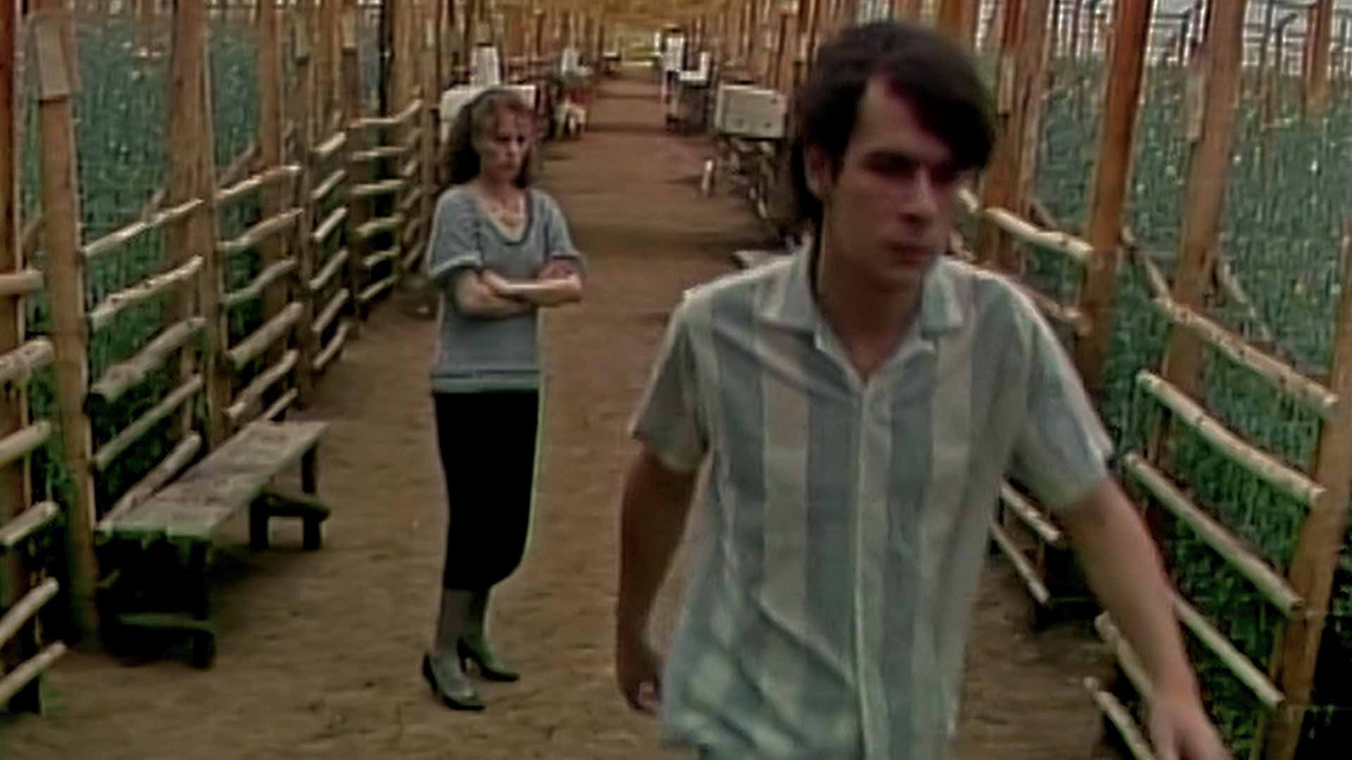 Conozca a los protagonistas de Los cuervos, la primera serie de misterio en Colombia, en www.rtvcplay.co