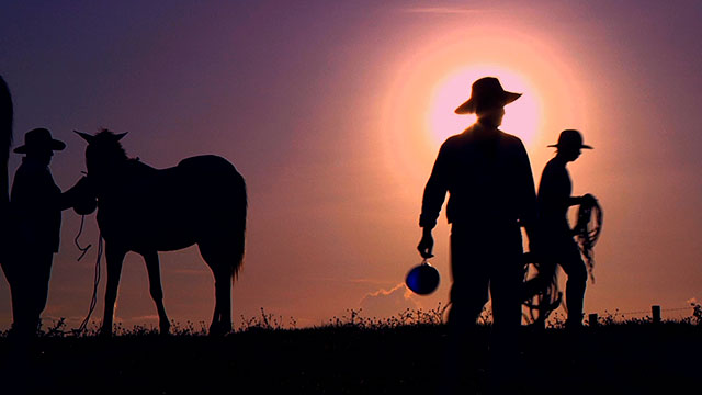 De a caballo, ver, nombres, animales, Llanos Orientales, gratis, serie, completa, RTVCPlay, Señal Colombia