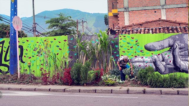 Huerto, Medellín, trabajo en equipo, grafitis, RTVCPlay, serie, medio ambiente