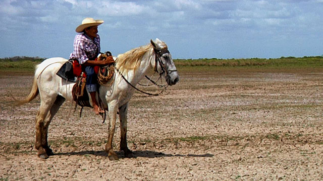 De a caballo, RTVCPlay, serie, completa, ver, gratis, aprender, desafíos 