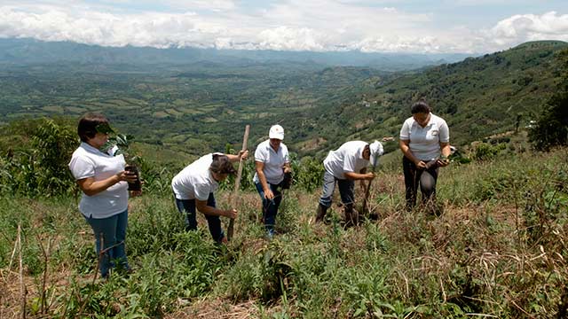¡Conoce las organizaciones campesinas de Suena la tierra por www.rtvcplay.co!