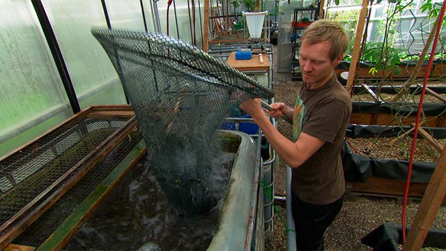 Peces, serie, hombre, agricultura, RTVCPlay, empresa, señal colombia 