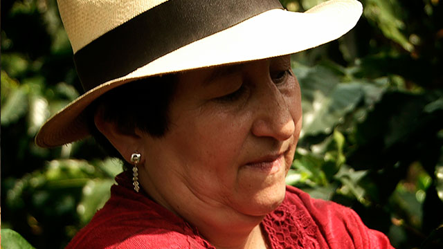 Rosa Helena López campesina en cultivo de café anónimas extraordinarias serie
