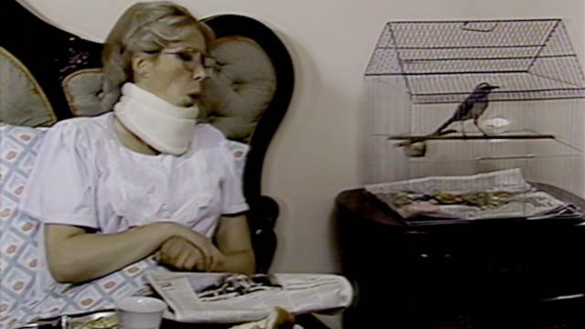 Margarita recibe un pajarito de regalo en La posada. Disponible en www.rtvcplay.co.