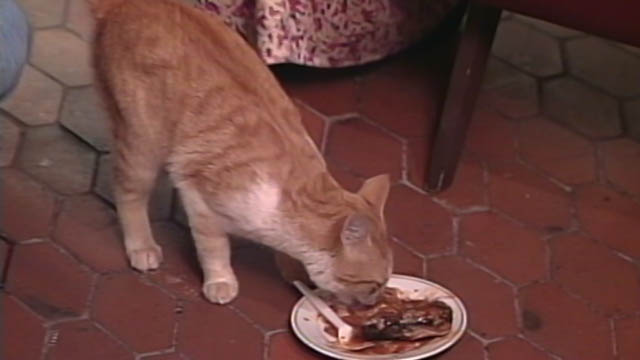 Mira el capítulo ‘Un día difícil’ de la novela colombiana Los Tuta en la plataforma de streaming de todos los colombianos: RTVCPlay