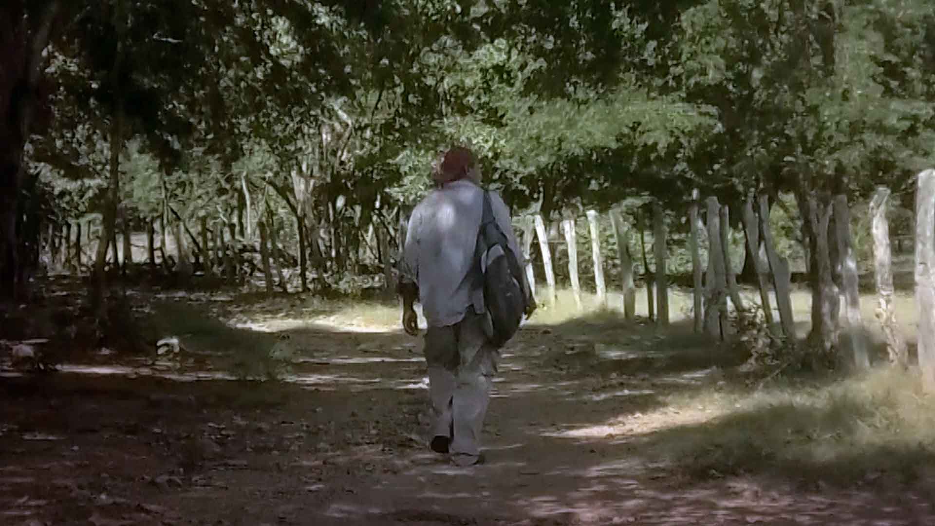 valledupar, julio cesar contreras, cajas, bongos, congas, guacharacas, tradicion familiar, series de radio nacional, musica colombiana, historia de la musica colombiana, musica de gaitas, cumbia colombiana, musica gratis, series online, series gratis