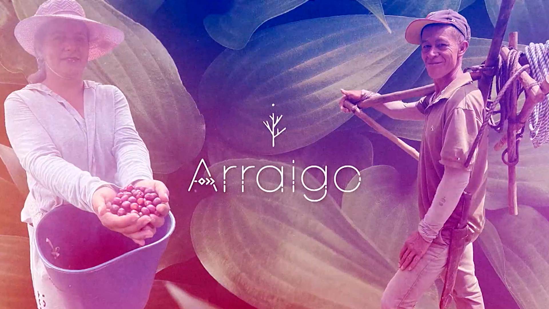 Arraigo, un documental para rendir homenaje al campesinado colombiano, disponible en RTVCPlay