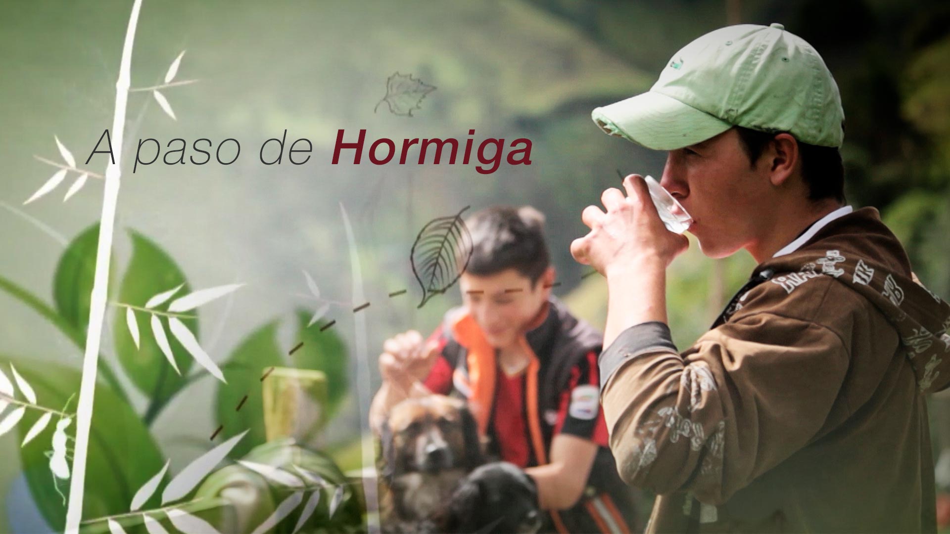 Póster de A paso de Hormiga