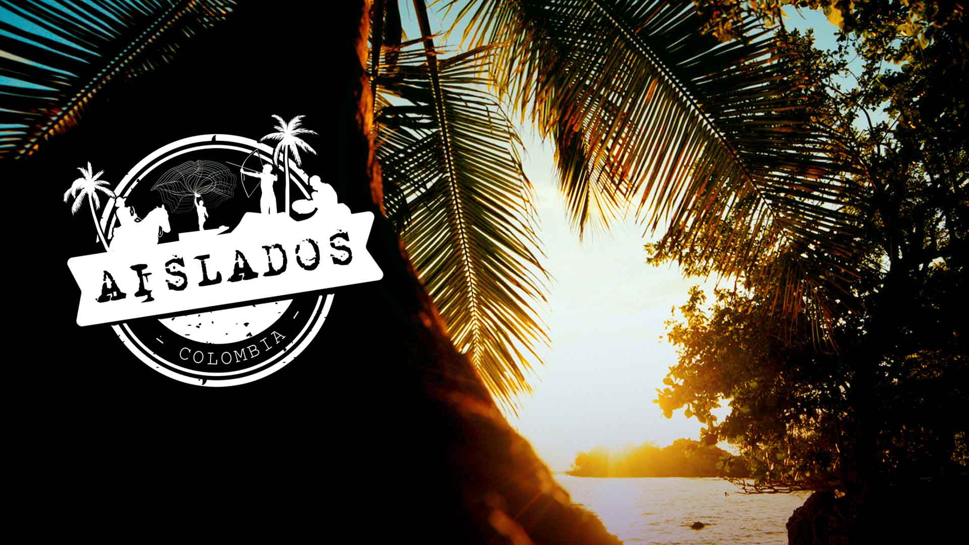 Palmera junto a la playa al atardecer