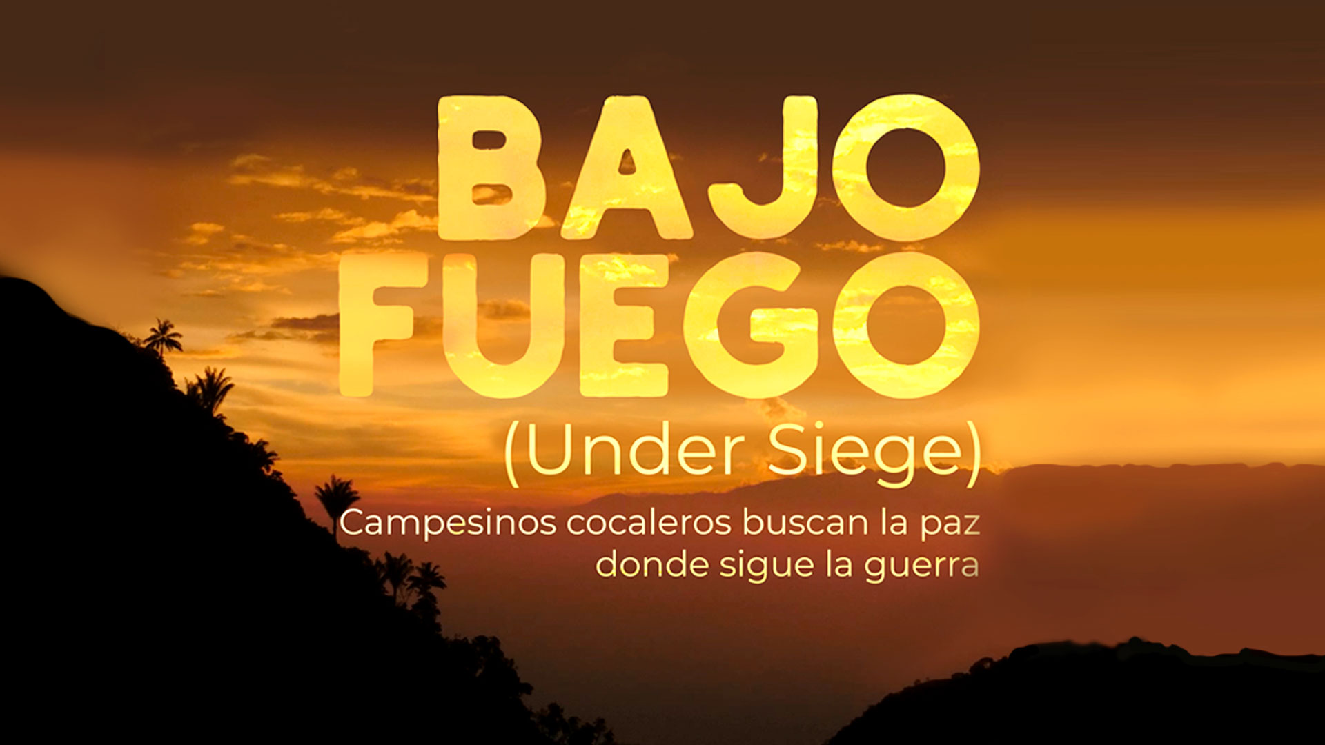 Póster de Bajo fuego, documental disponible en la plataforma de streaming de los colombianos: RTVCPlay