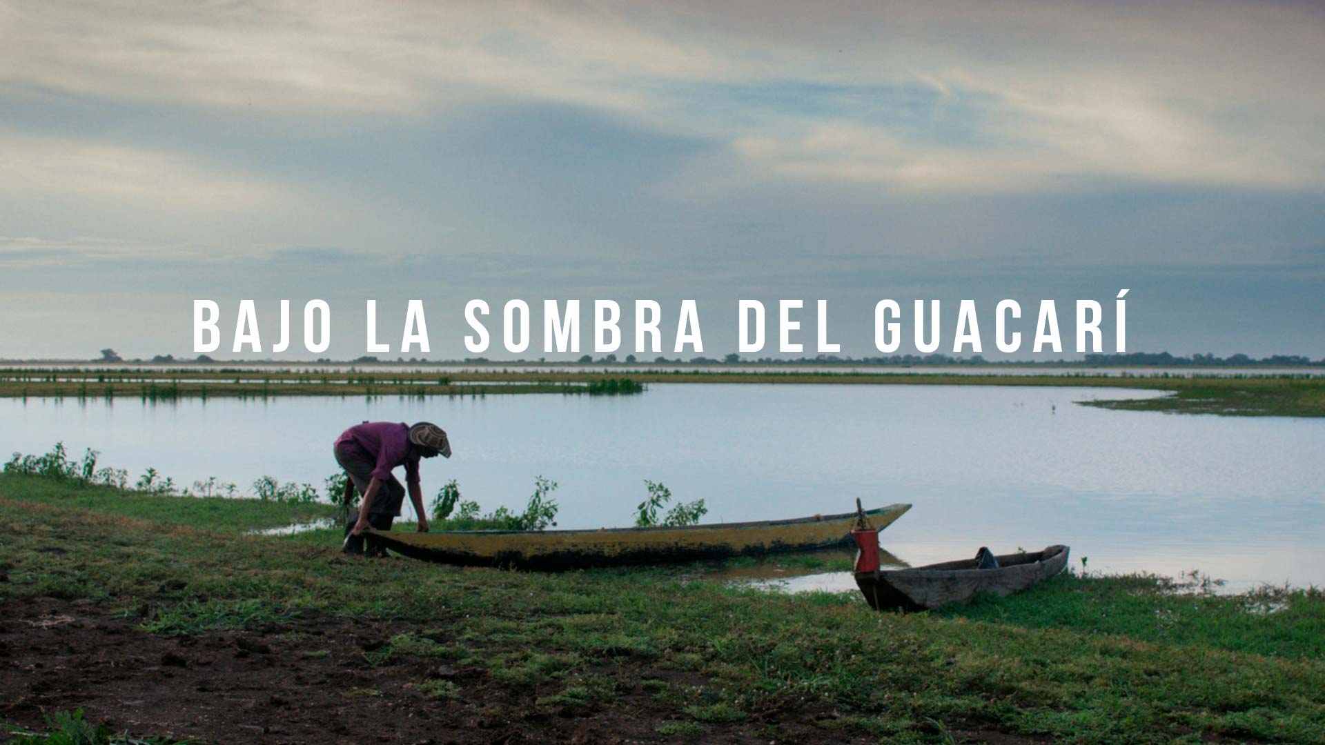 Mira ahora el cortometraje colombiano Bajo la sombra del Guacarí en la plataforma de streaming RTVCPlay