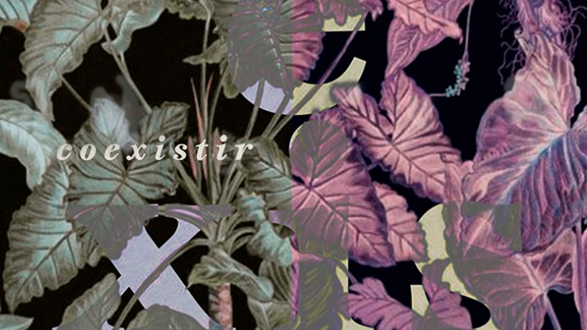 Coexistir, cortometraje documental colombiano disponible ahora en la plataforma de streaming RTVCPlay 