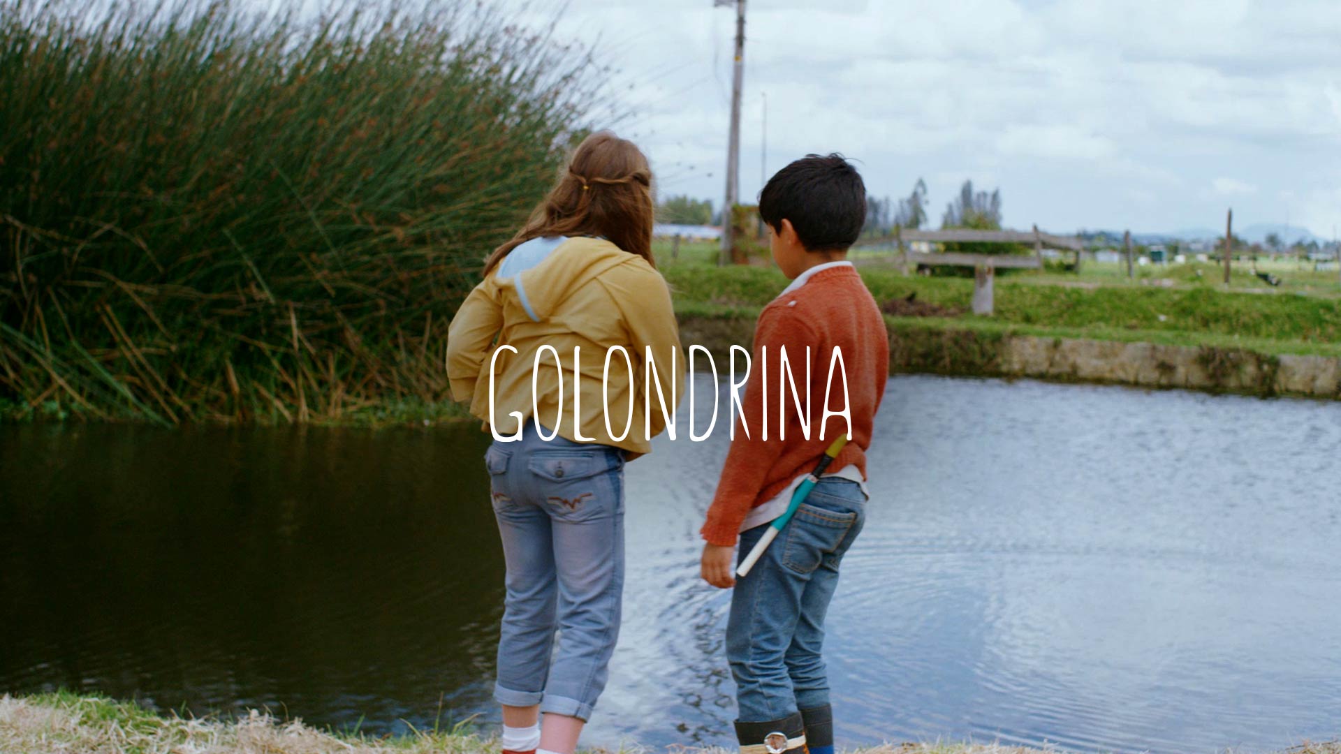 Póster de Golondrina, cortometraje infantil dirigido por Juan Manuel Betancourt, en la plataforma de streaming RTVCPlay