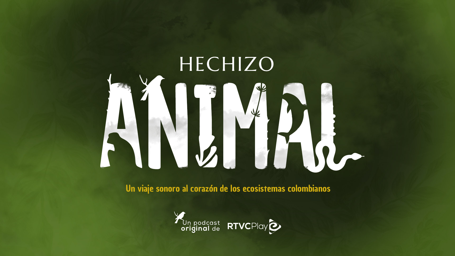 Conoce a los defensores de las especies animales amenazadas en Hechizo animal, pódcast original de RTVCPlay 