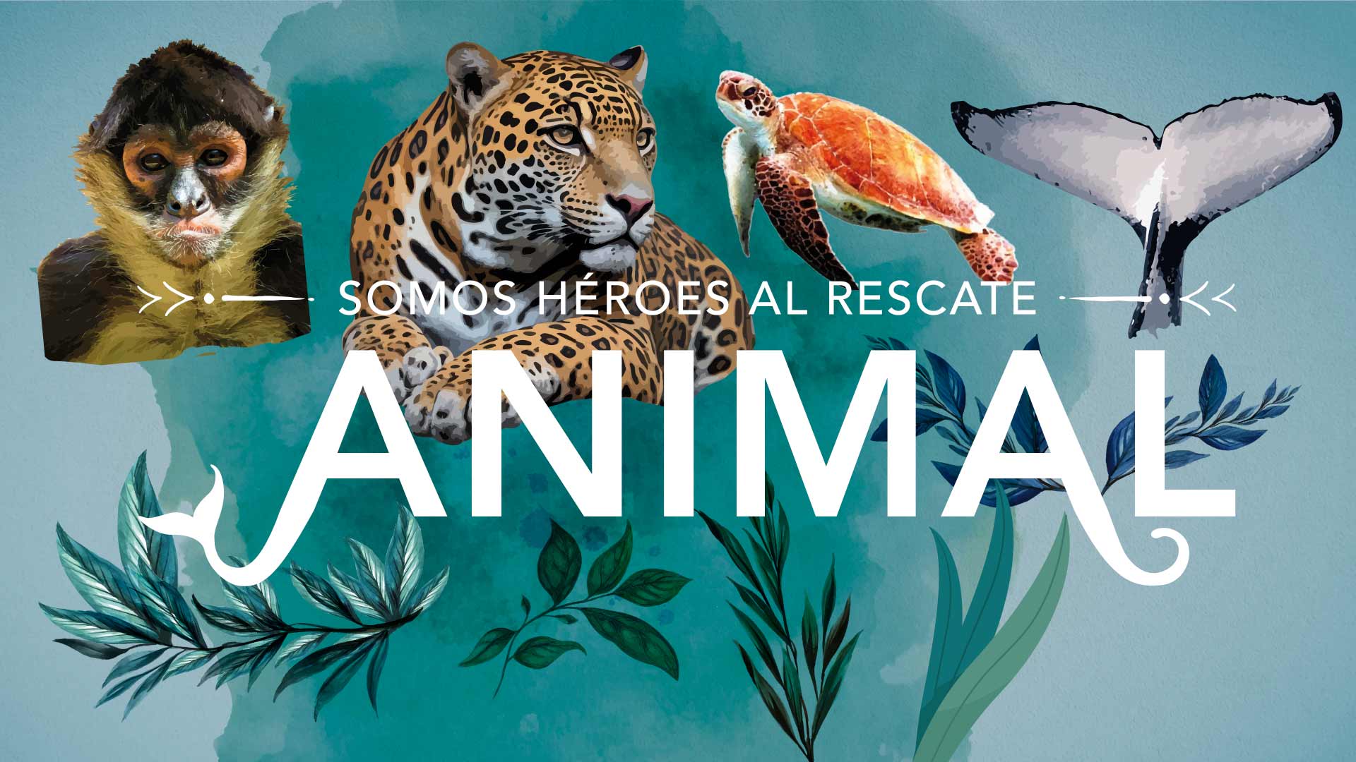 ¡Mira Héroes al rescate animal por la plataforma de streaming RTVCPlay!
