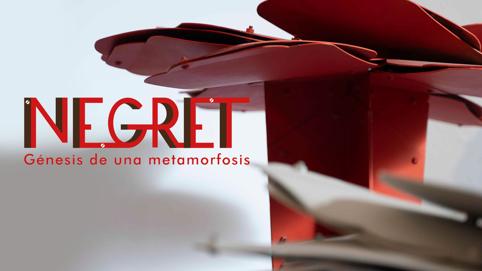 NEGRET: Génesis de una metamorfosis, cortometraje documental disponible ahora en la plataforma de streaming RTVCPlay