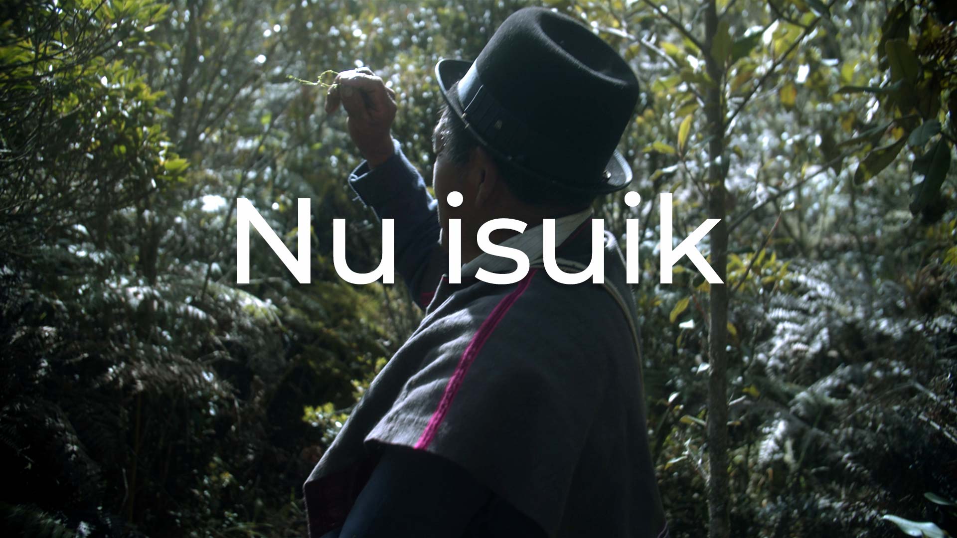 Documental de Señal Colombia Nu Isuik, documentales colombianos gratis, documentales en rtvcplay, documentales online, peliculas gratis, ver nu isuik, documentales indigenas misak