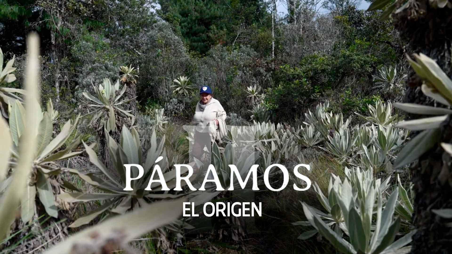 Páramos II, el origen, documental colombiano disponible ahora en la plataforma de streaming RTVCPlay