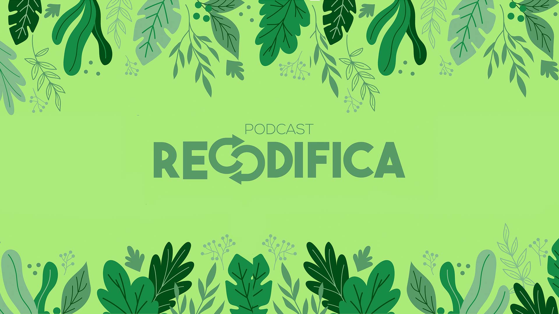 Entiende el impacto de la deforestación en Colombia escuchando Recodifica, un podcast de Radiónica