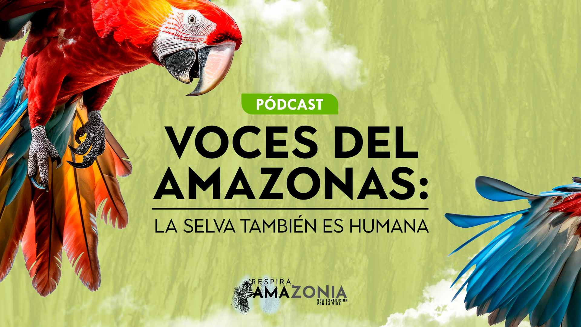 Voces del Amazonas, pódcast de Señal Memoria, disponible ahora en la plataforma de streaming RTVCPlay