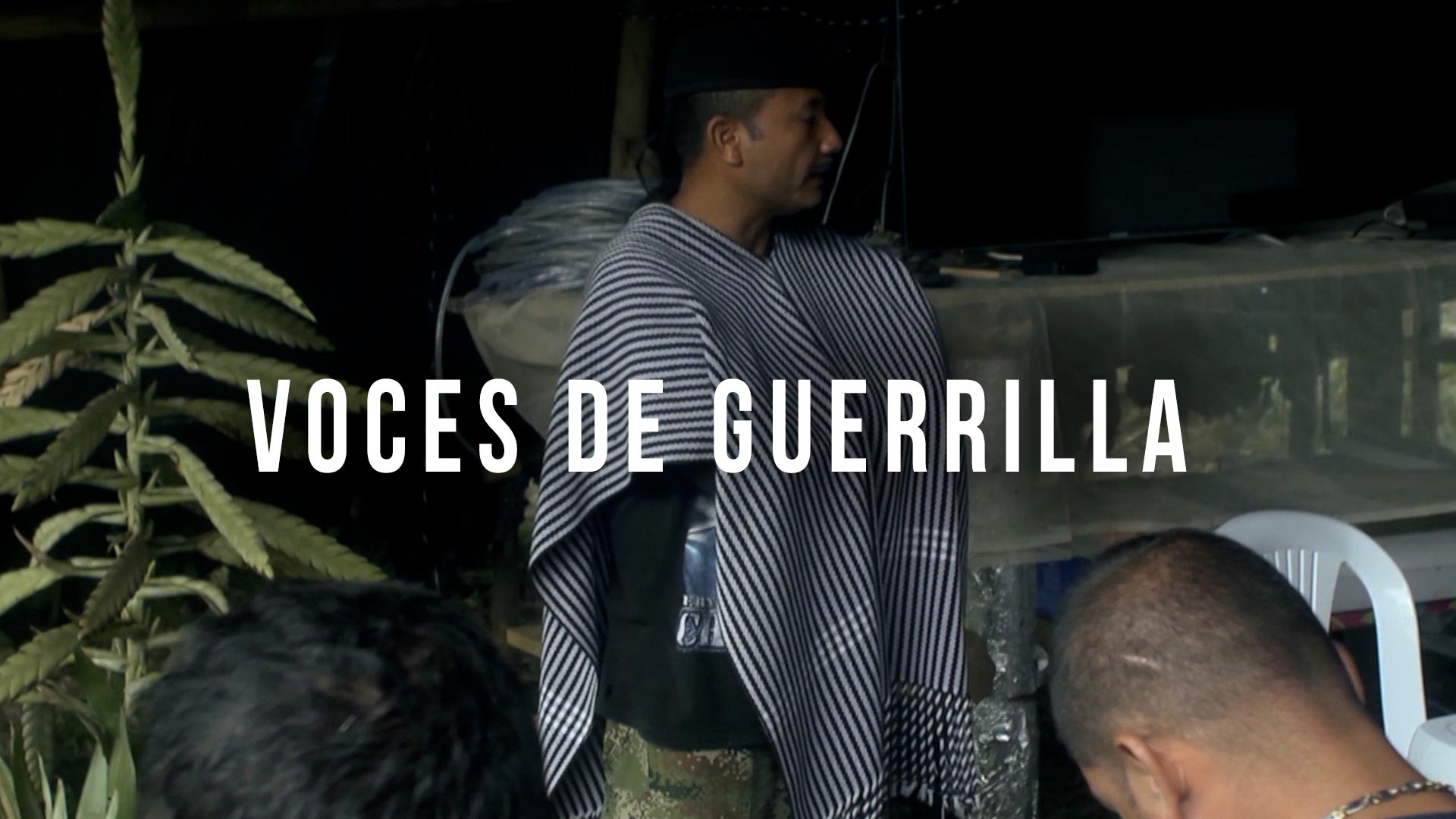 Póster de Voces de guerrilla, documental colombiano disponible ahora en la plataforma de streaming de los colombianos: RTVCPlay