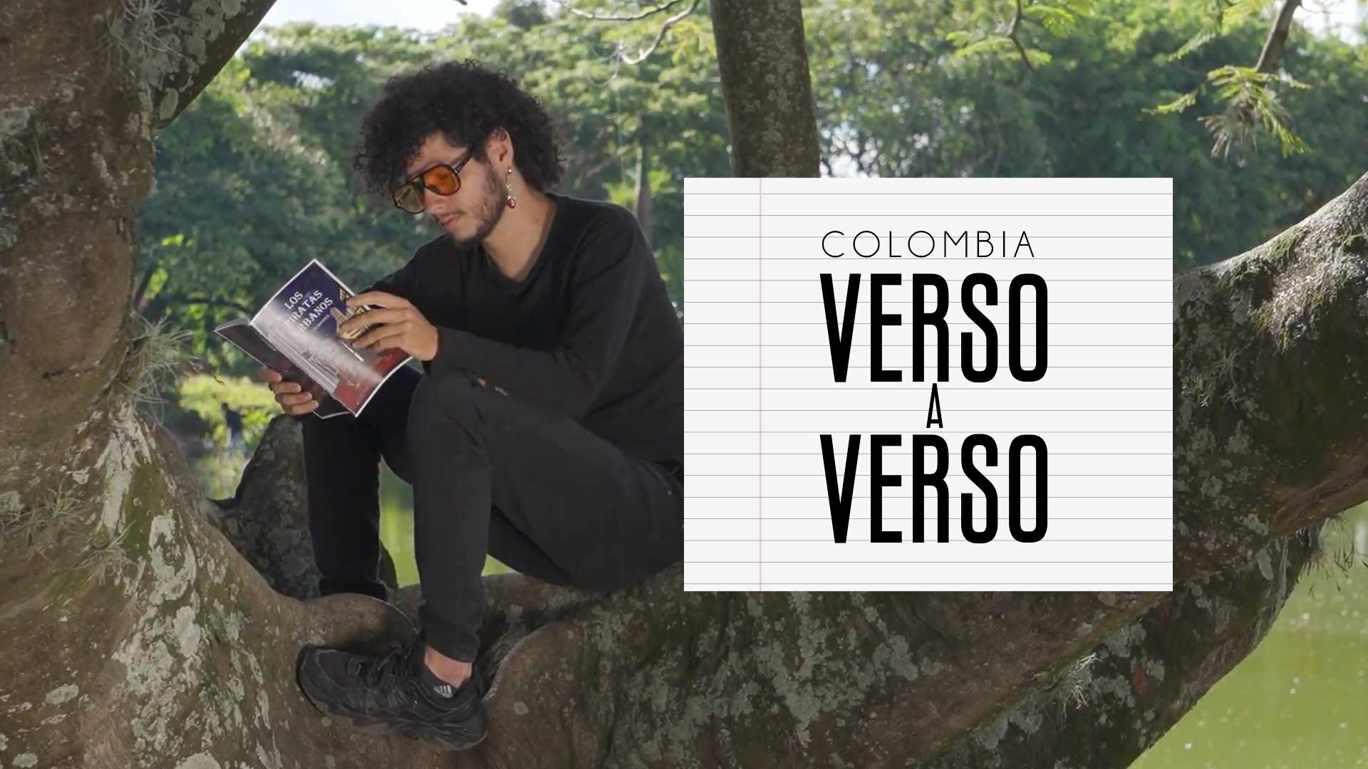 Colombia verso a verso, serie disponible ahora en la plataforma de streaming de los colombianos: RTVCPlay