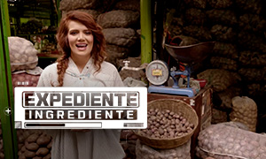 EXPEDIENTE INGREDIENTE