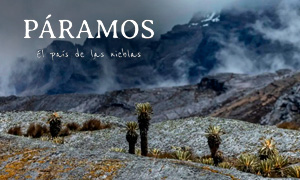 PÁRAMOS, EL PAÍS DE LAS NIEBLAS